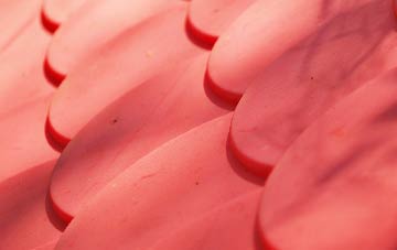 Little Orton plastic roof costs